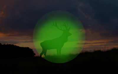 Jagd mit Nachtsichttechnik 2020