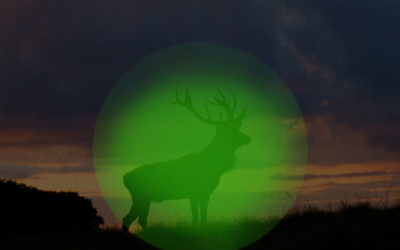 Wärmebildtechnik für die Jagd – Was sieht man mit einem Wärmebildgerät?