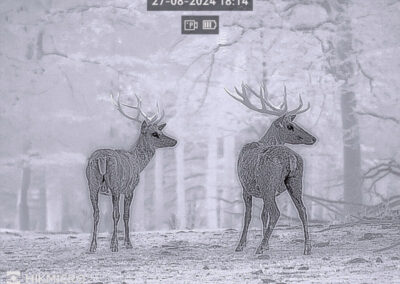 Bilder von der HIKmicro Thunder 3.0 Serie