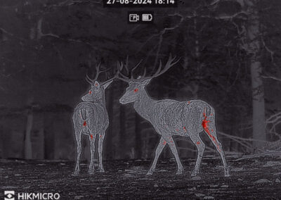 Bilder von der HIKmicro Thunder 3.0 Serie