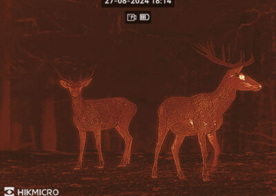 Bilder von der HIKmicro Thunder 3.0 Serie