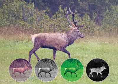 Pulsar Symbion LRF - Multispektrale Bildgebung