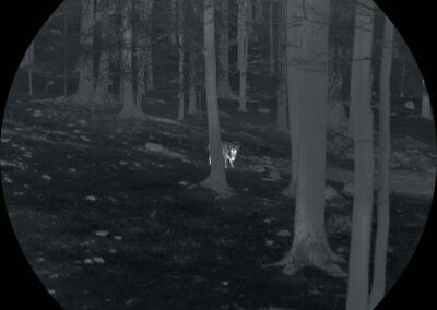 Testbericht: Nocpix Vista S50R - Aufnahme