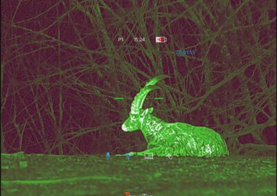 ThermTec Hunt650Pro - Feinste Details sind sichtbar – Bilder sagen mehr als Worte…