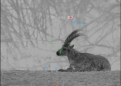 ThermTec Hunt650Pro - Feinste Details sind sichtbar – Bilder sagen mehr als Worte…