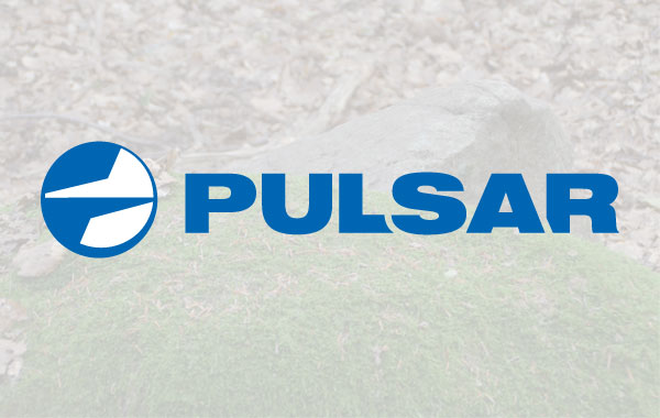 Pulsar Logo
