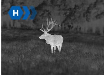 Pulsar Axion XQ30 PRO - Level