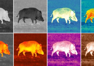 Pulsar Axion XQ30 PRO - Palets